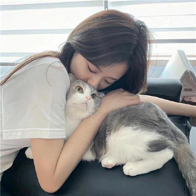 诈欺猎人