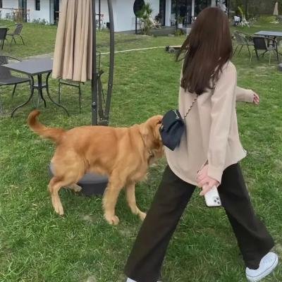 狂鼠